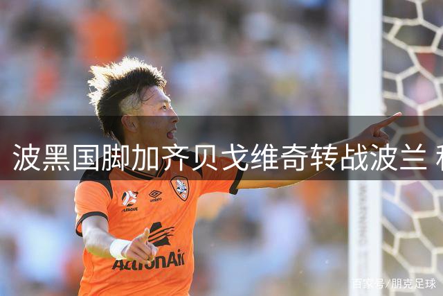 波黑国脚加齐贝戈维奇转战波兰 科隆完成外租交易